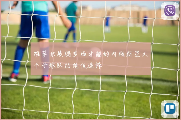 维萨尔展现多面才能的内线新星大个子球队的绝佳选择