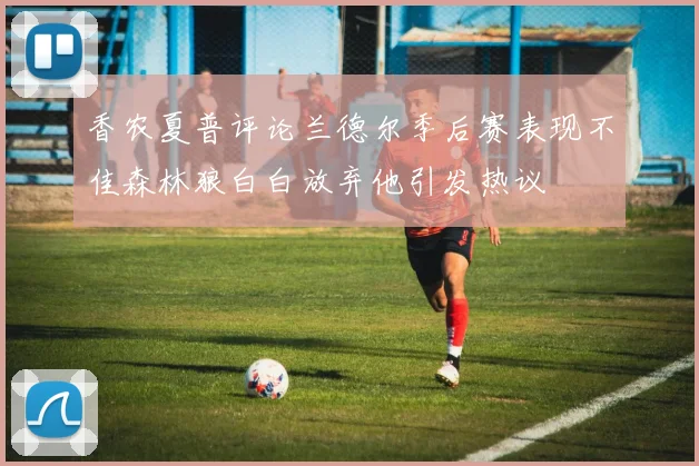 香农夏普评论兰德尔季后赛表现不佳森林狼白白放弃他引发热议