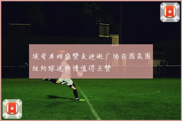 埃奇库姆盛赞麦迪逊广场花园氛围纽约球迷热情值得点赞